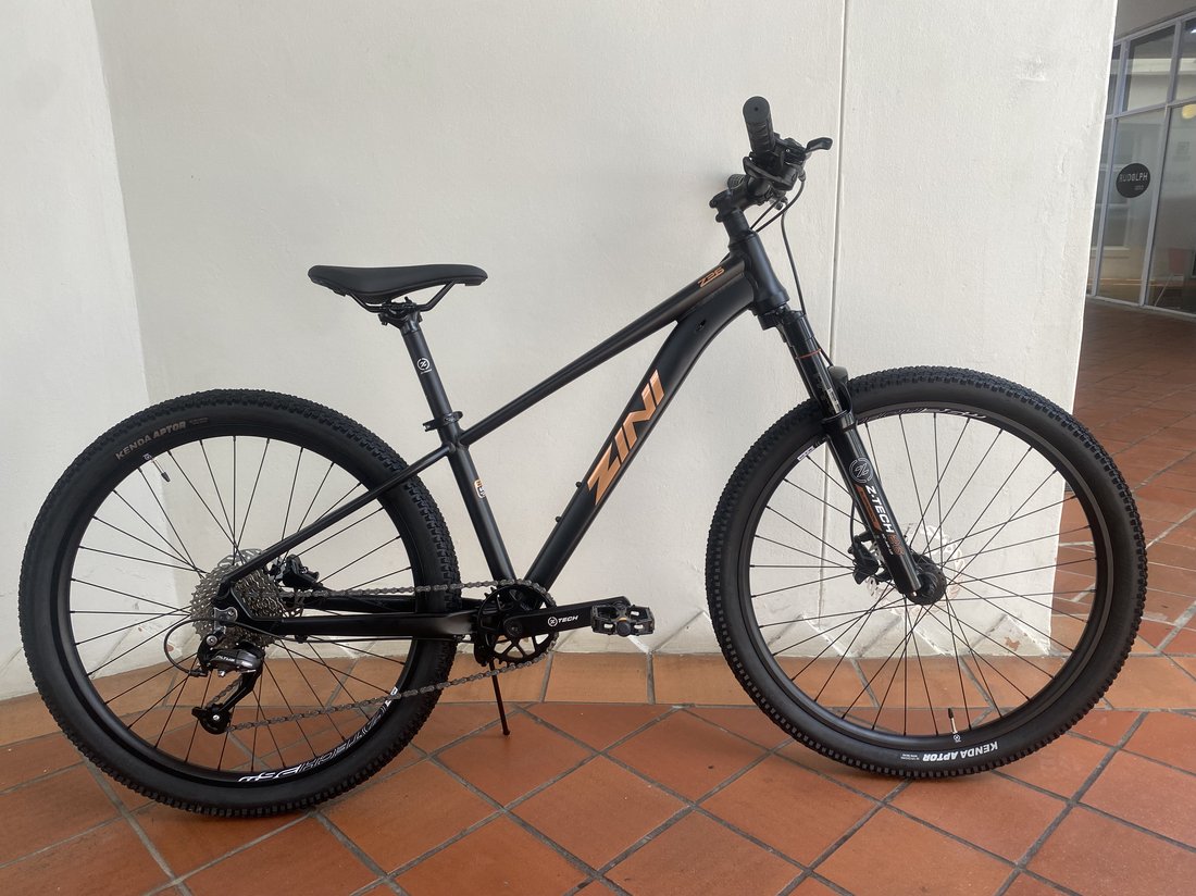 Zini Z26 Disc mountain bike